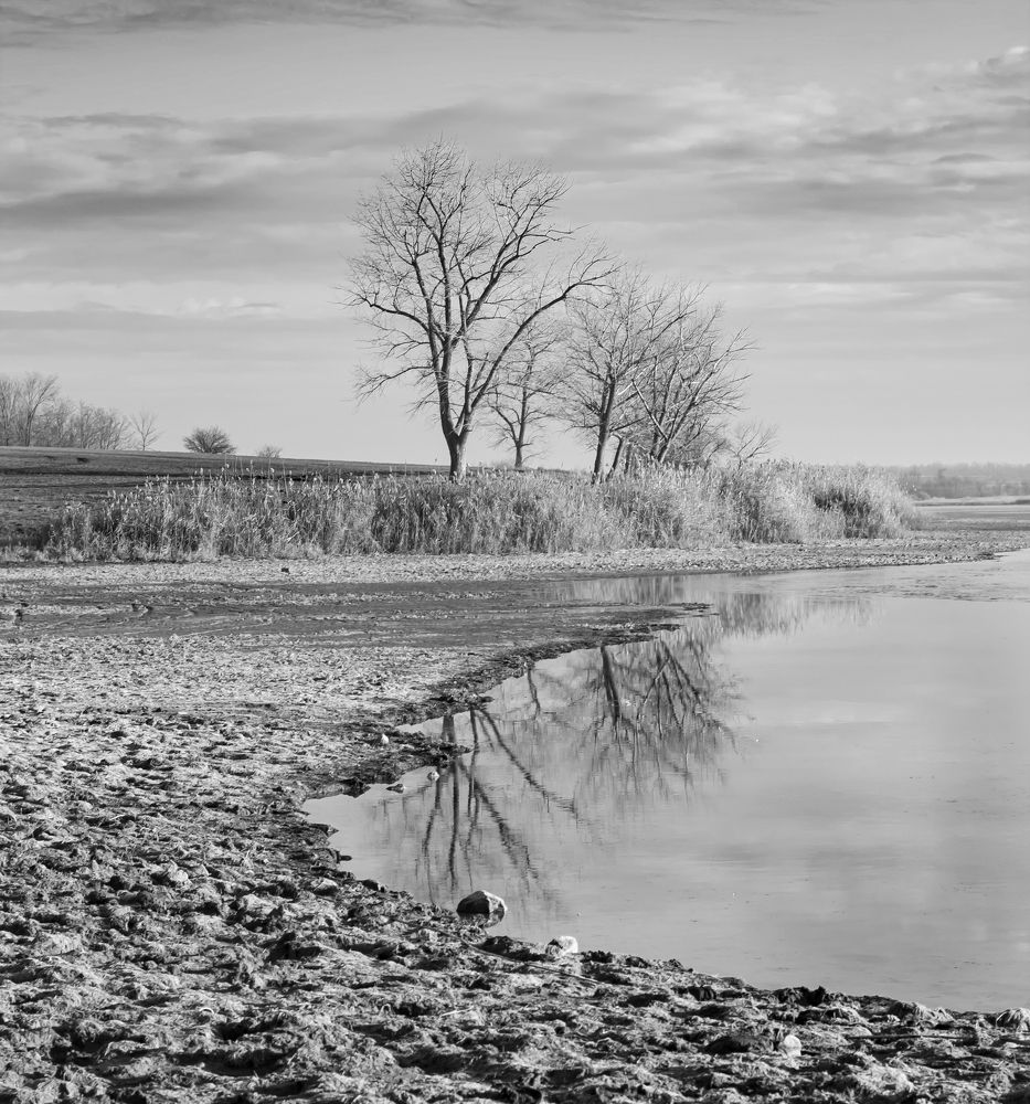 Photograph by Мария Данилкина