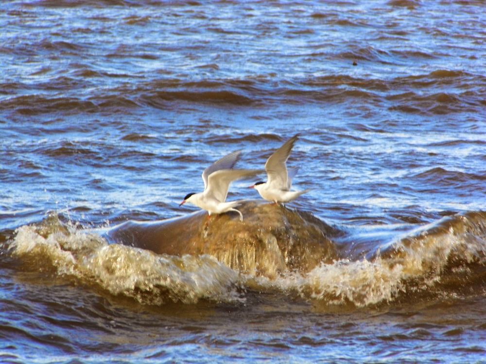 Photograph by Елена Грошева