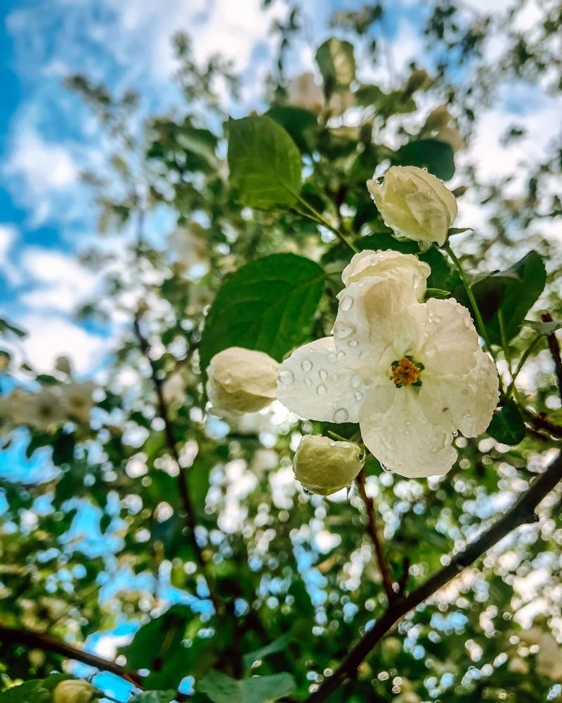 Photograph by Дарья Тарасова