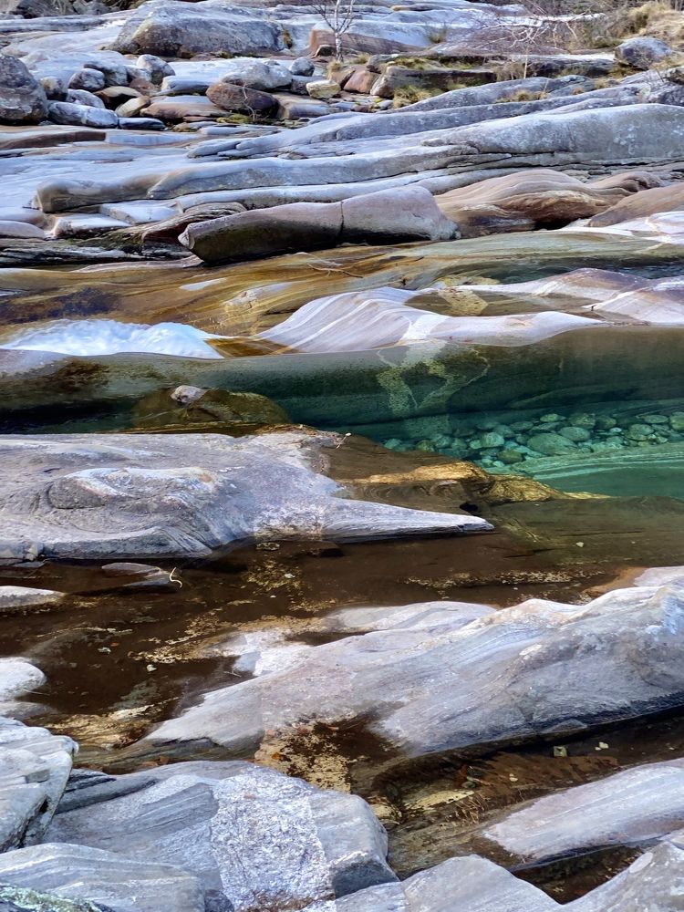 Photograph by Elena Sobol