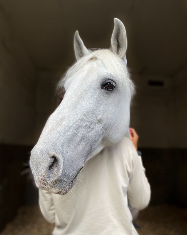 Photograph by Raquel Barao