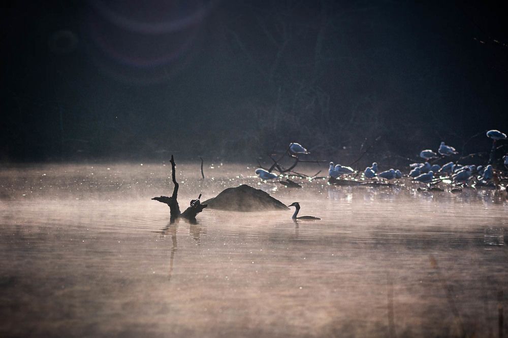 Photograph by Ah Neuh