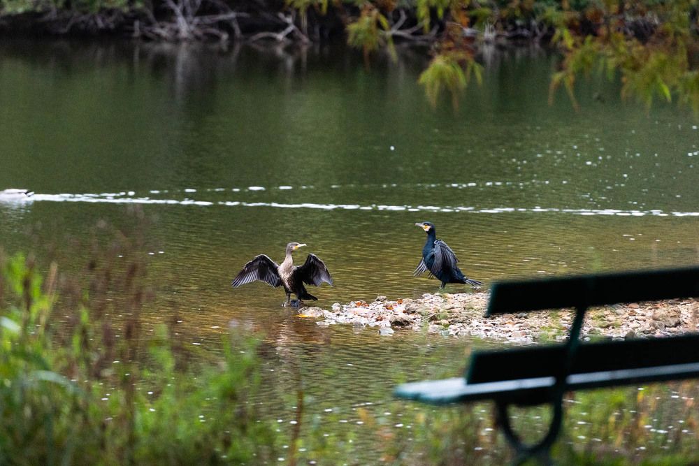 Photograph by Ah Neuh