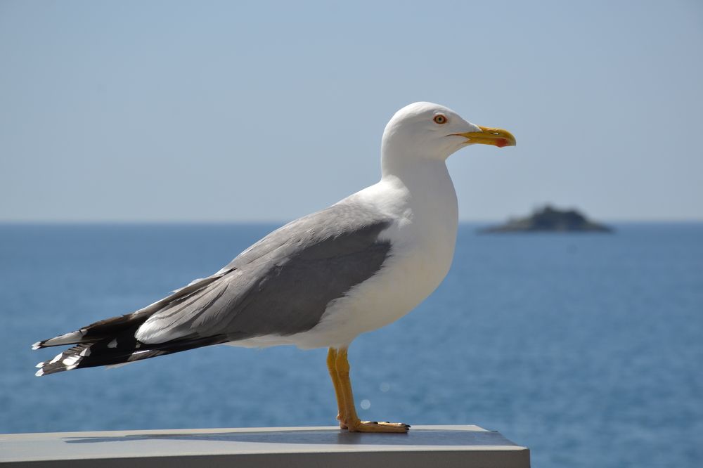 Photograph by Aleksandra Spasojevic