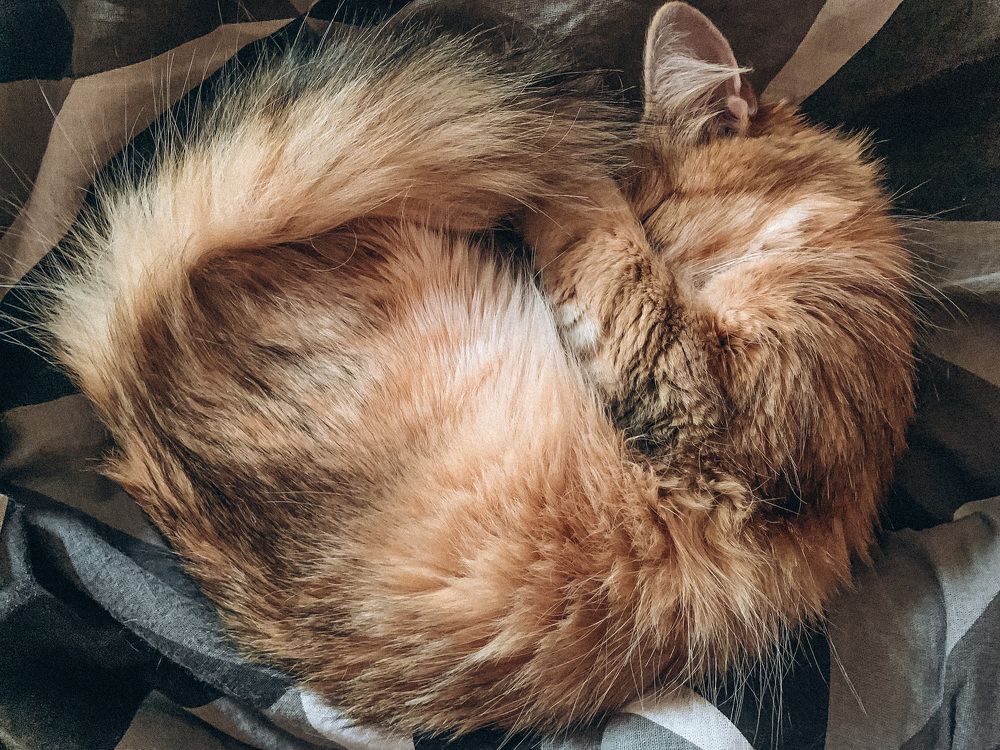 Photograph by Юлия Чиклеева