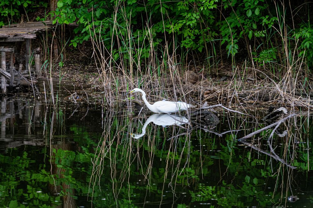 Photograph by Андрей Данилюк