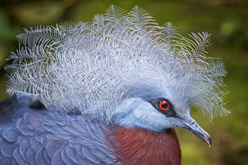 Photograph by Валерий