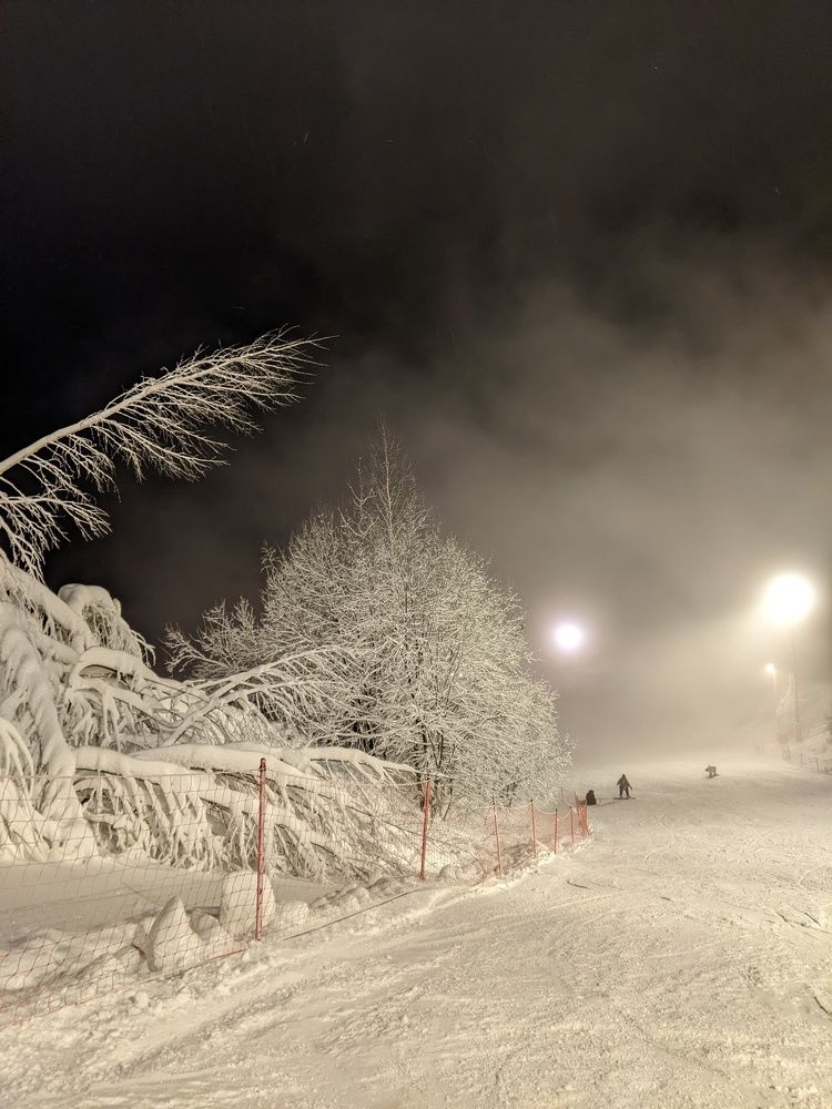 Photo #7593634