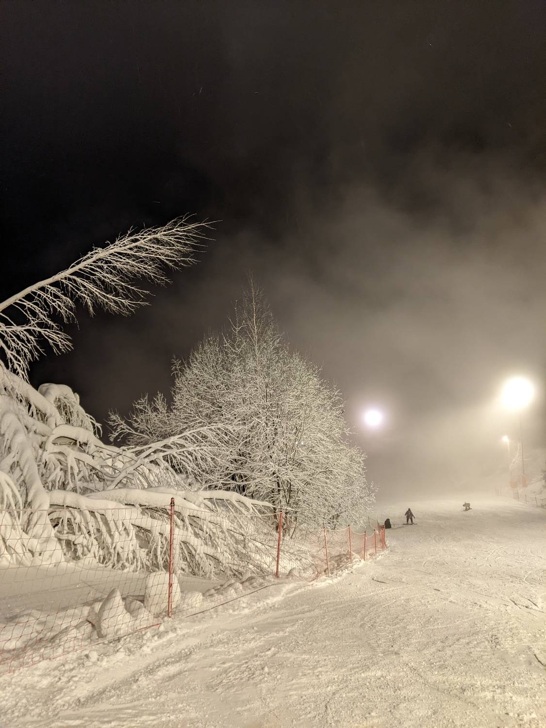 Photo #7593634