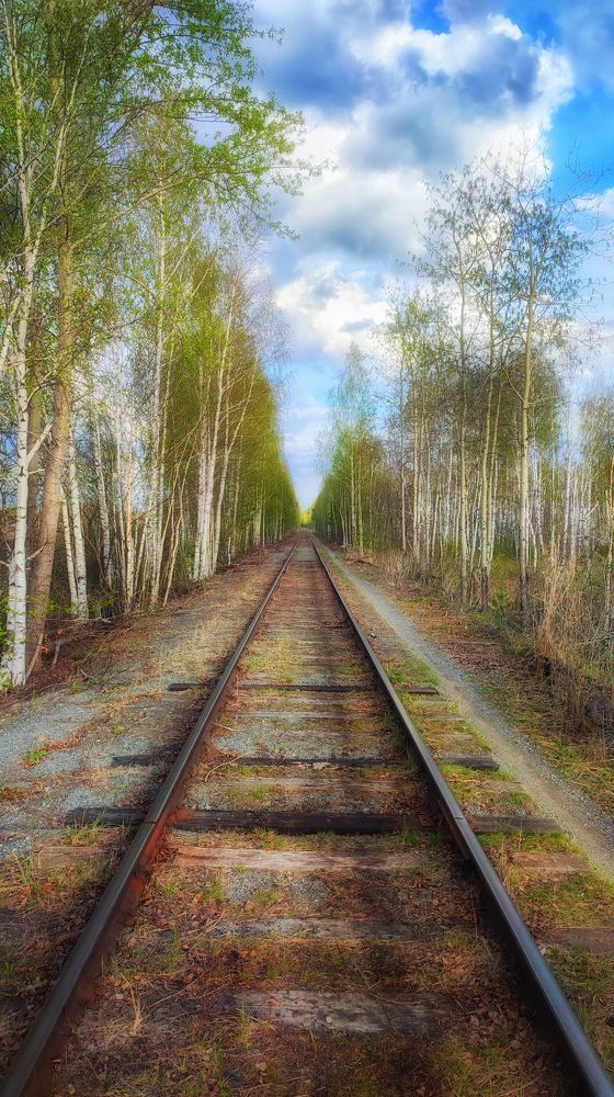 Photograph by Алексей Егорычев