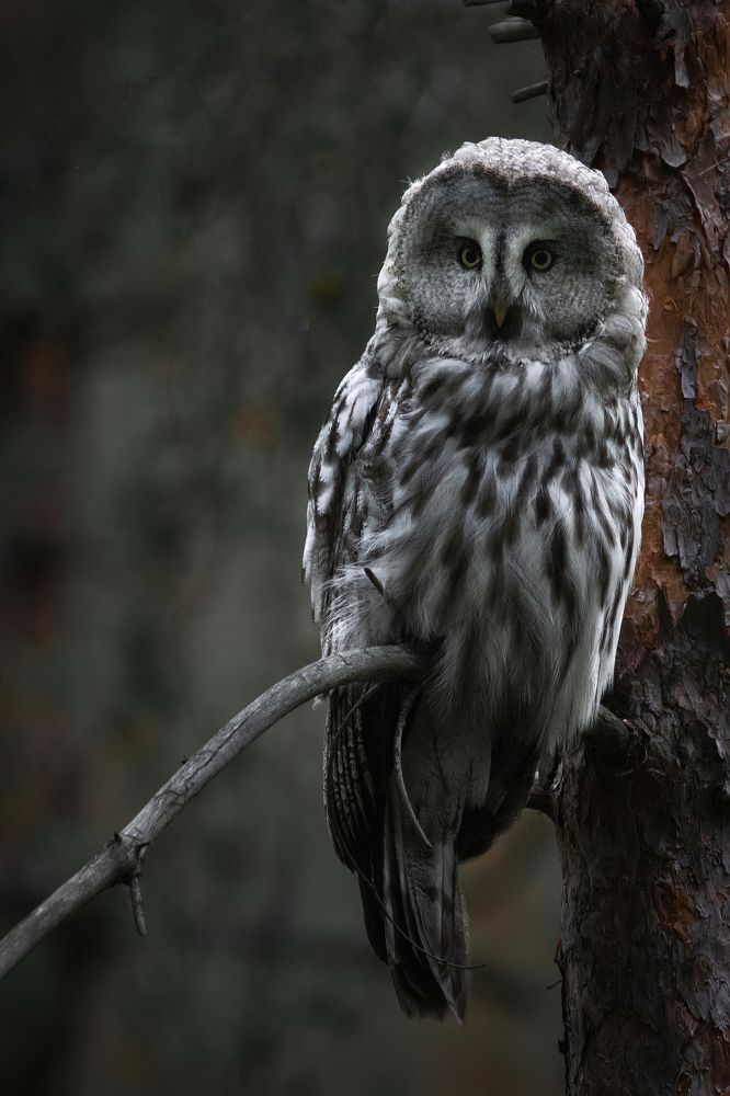 Photograph by Алексей Егорычев