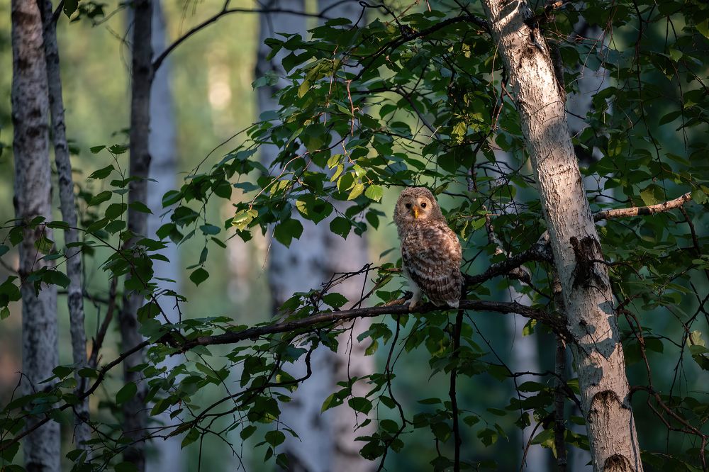 Photograph by Алексей Егорычев