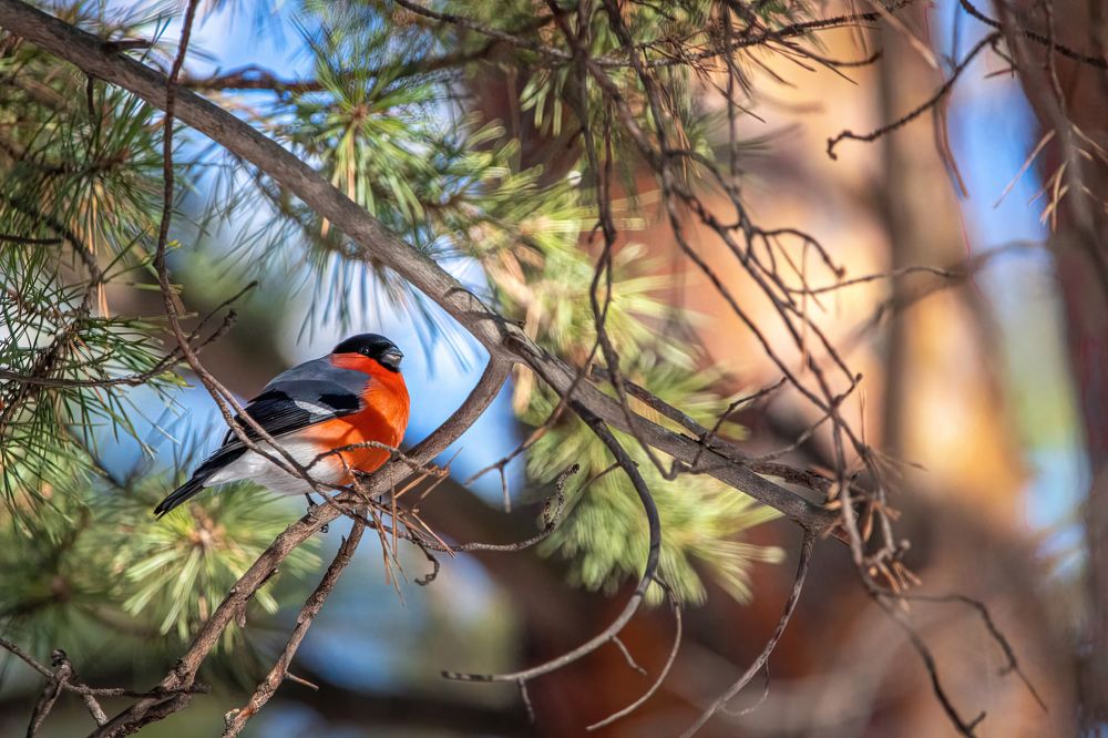 Photograph by Алексей Егорычев