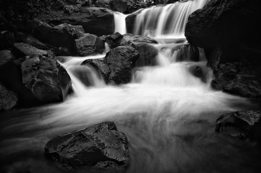 Photograph by Shubham Singh