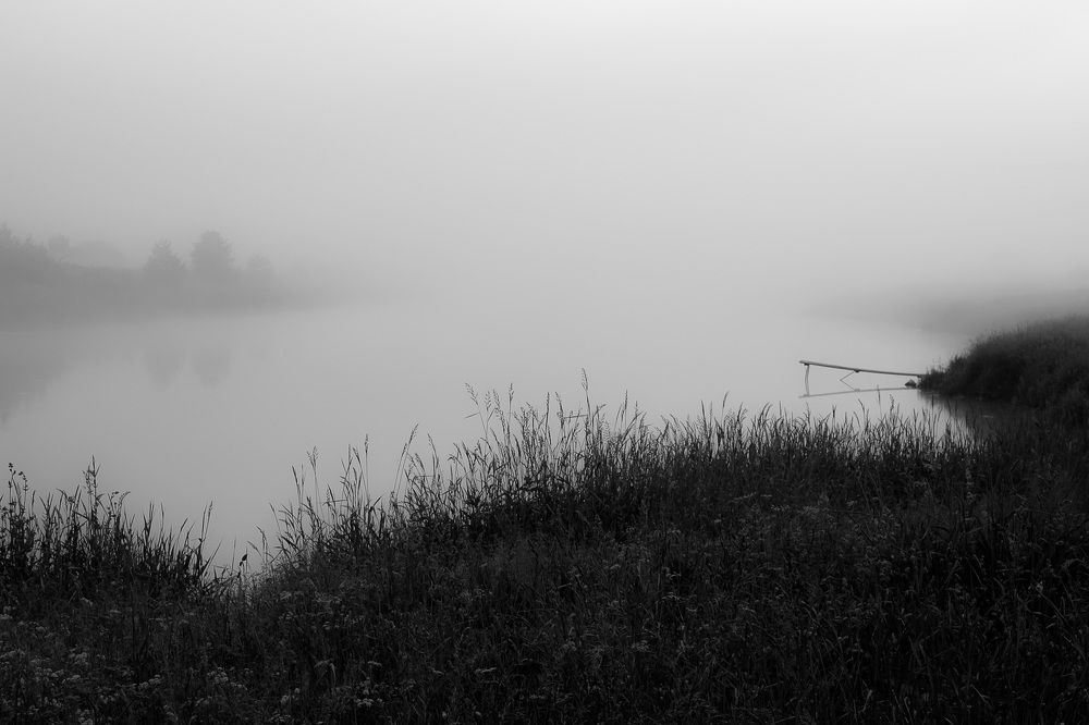 Photograph by Алексей Егорычев