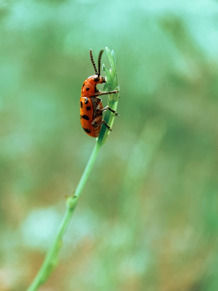 Photograph by Яна Полякова