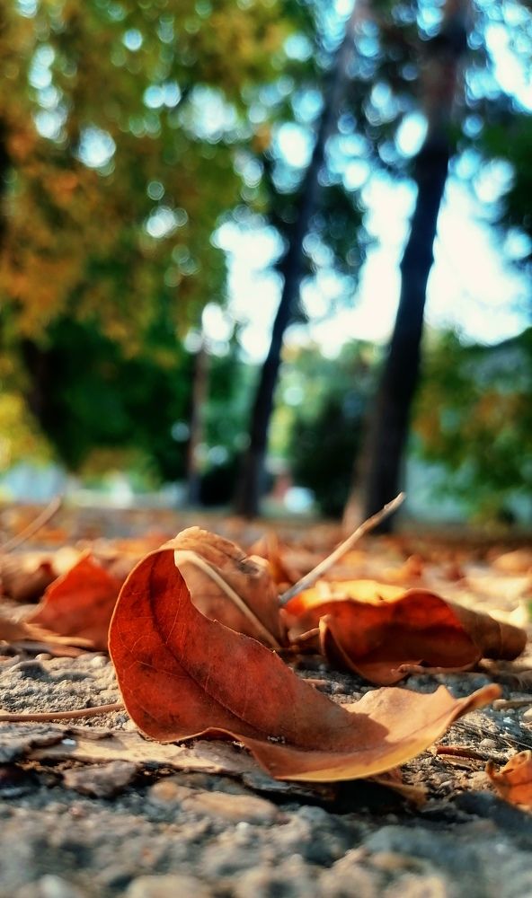 Photograph by Ирина Адлер