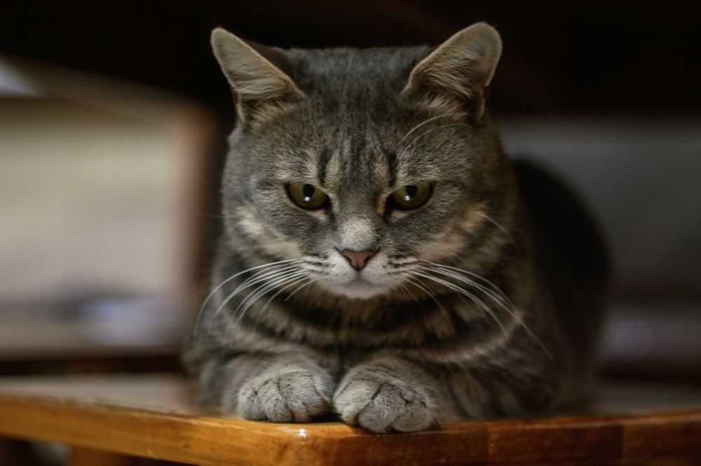 Photograph by Сергей Кравченко