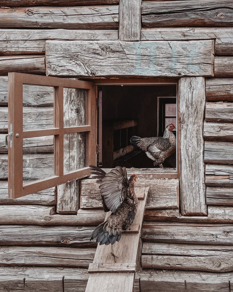 Photograph by Виктория Селютина