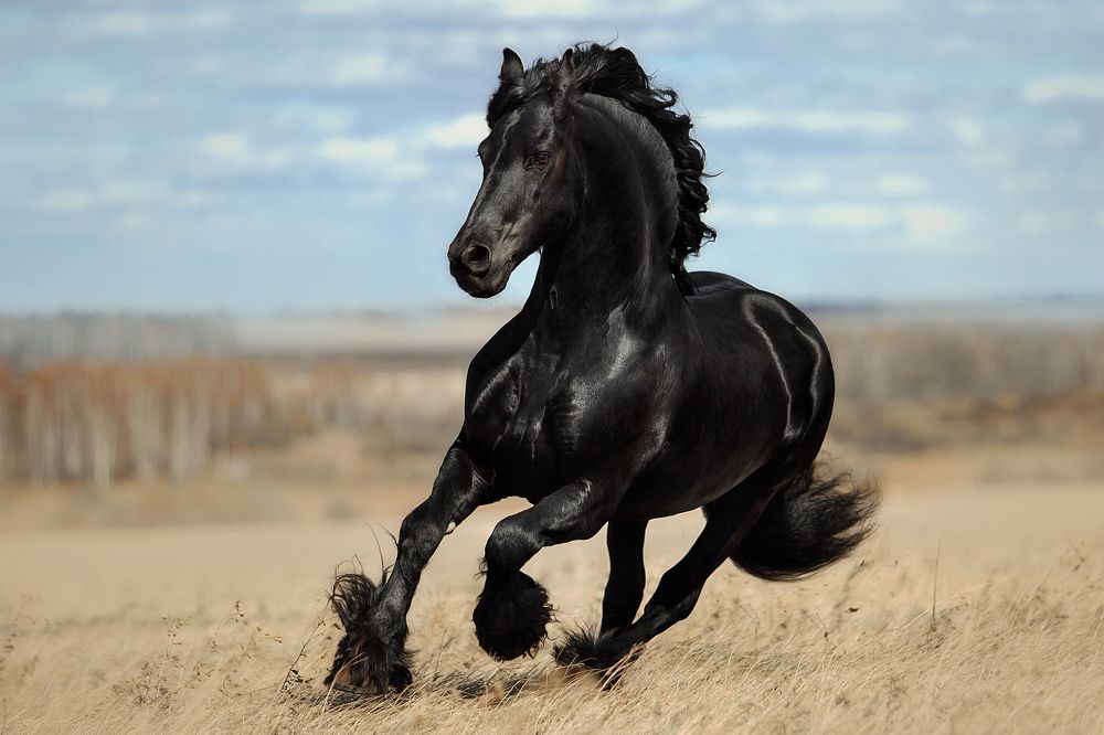 Photograph by Дарья Ералева