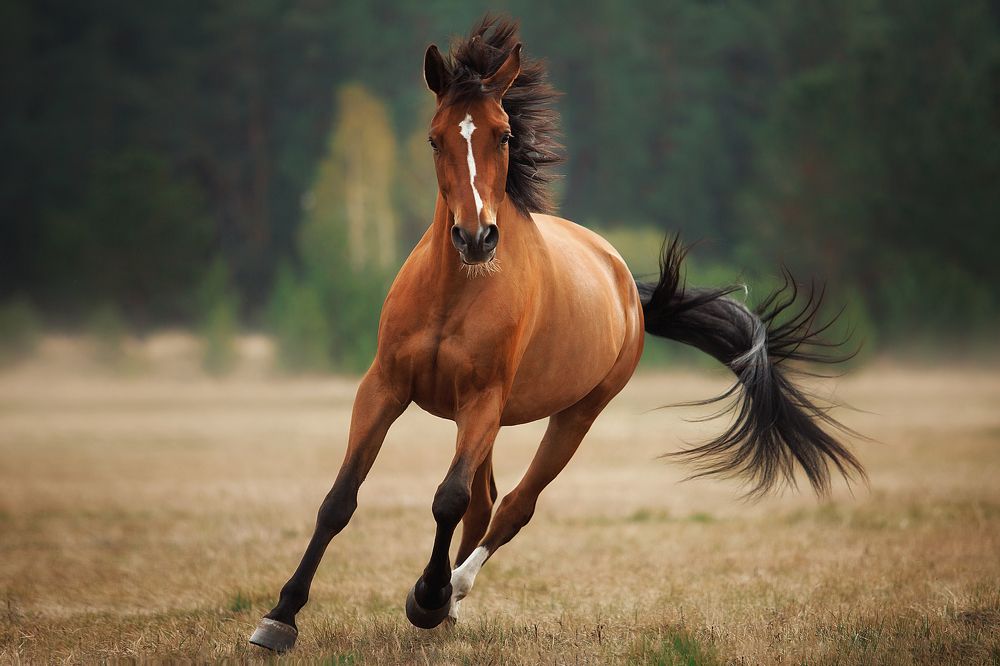 Photograph by Дарья Ералева