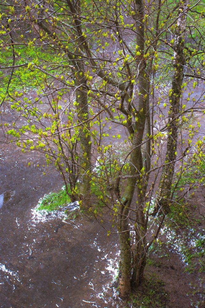 Photograph by Алексей Ильин