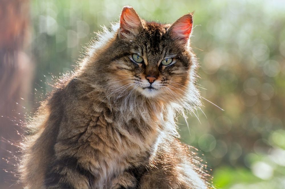 Photograph by Людмила Бекман