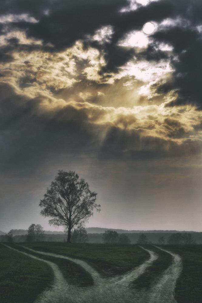 Photograph by Юлия Лушникова