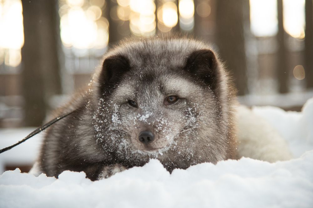 Photograph by Екатерина Абросова