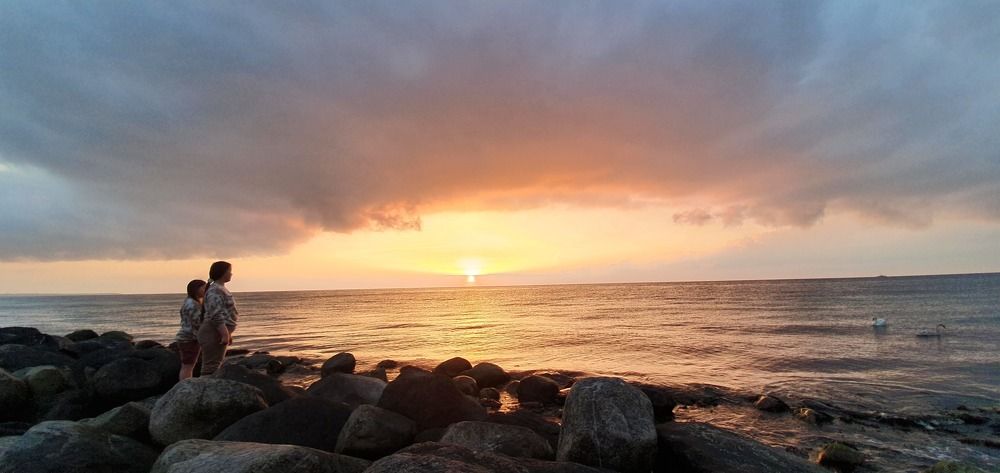 Photograph by Elisabeth Vinther