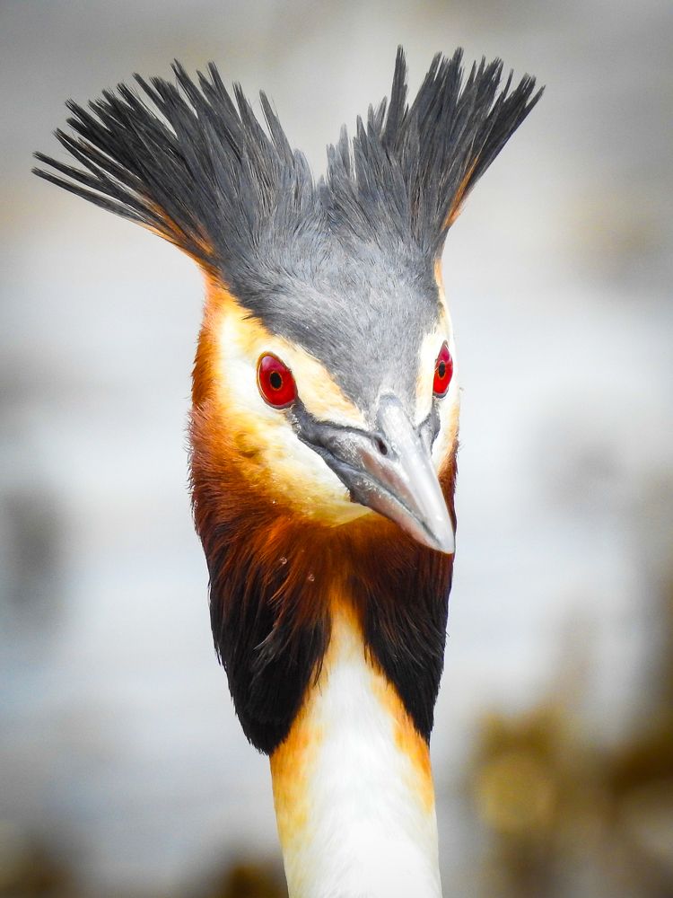 Photograph by Игорь Степанов