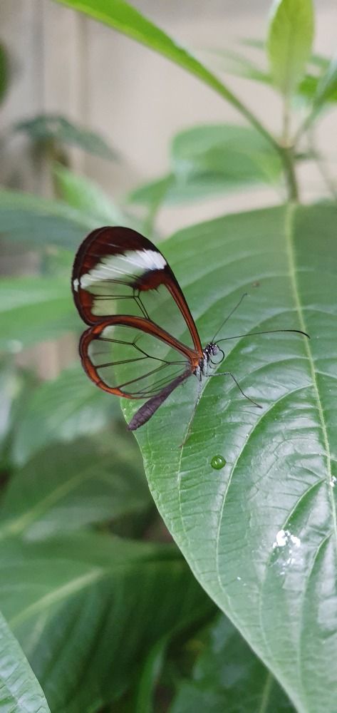 Photograph by Elisabeth Vinther