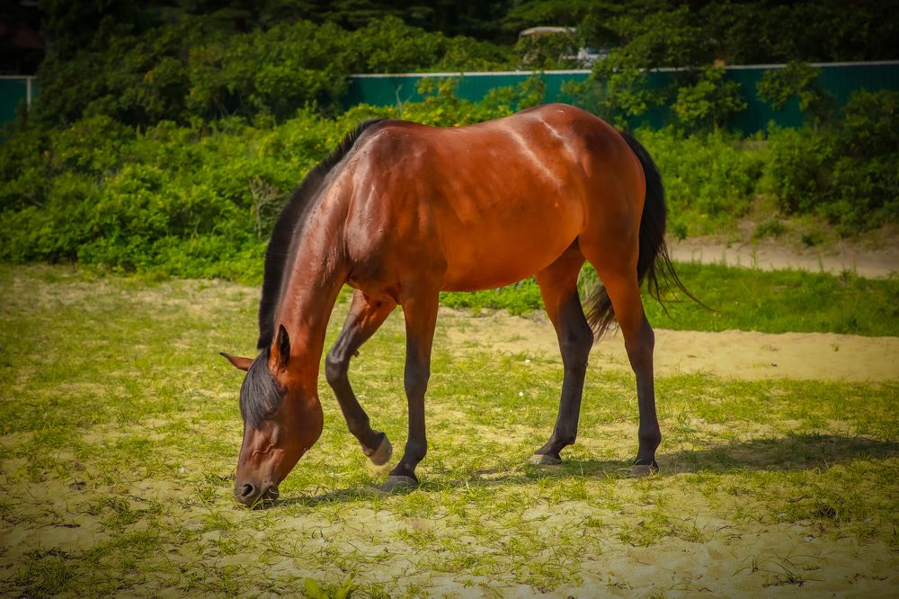 Photograph by Анна Хлоповская