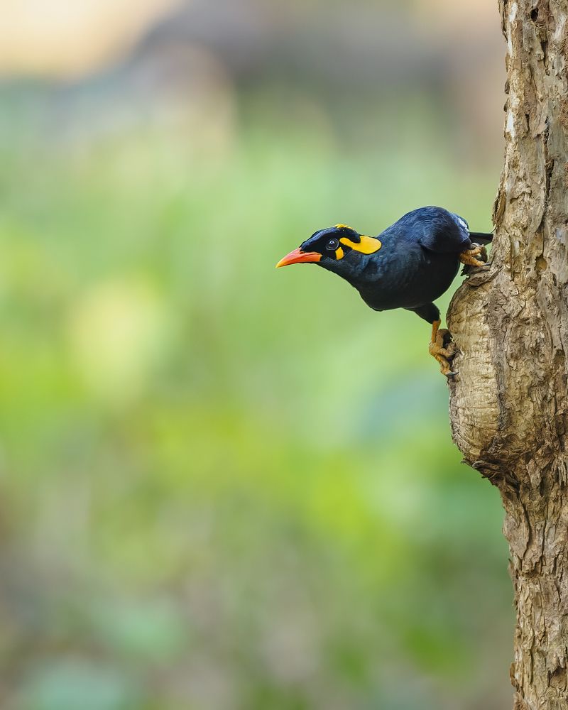 Photograph by Venkat Mangudi