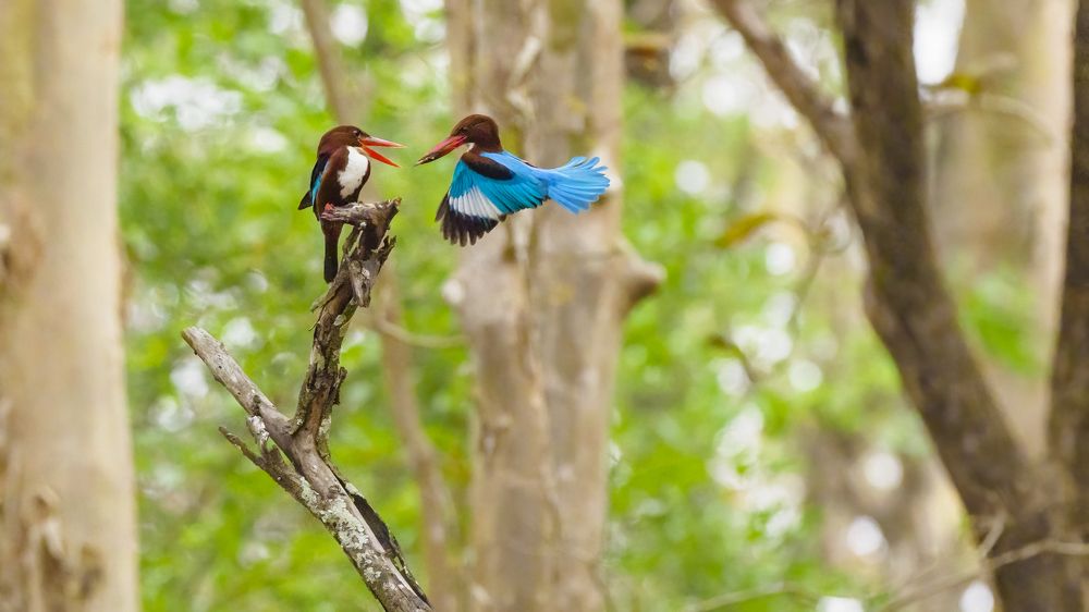 Photograph by Venkat Mangudi