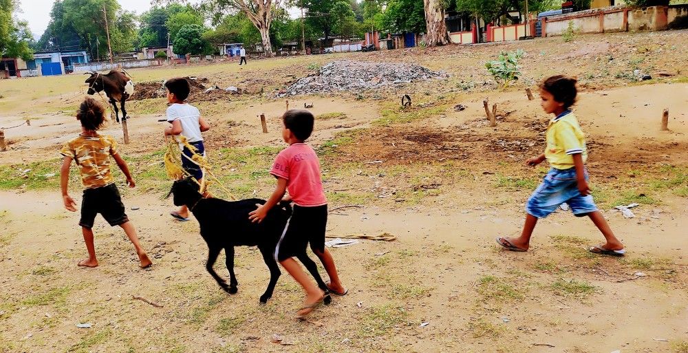 Фотография автора Santanu Dasgupta