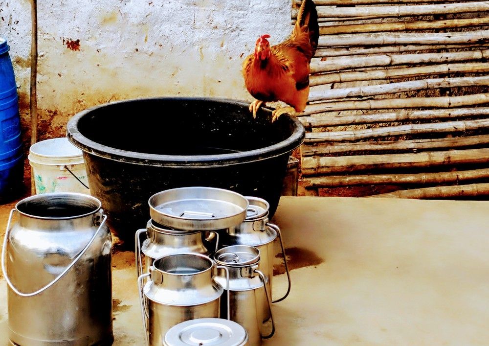 Фотография автора Santanu Dasgupta