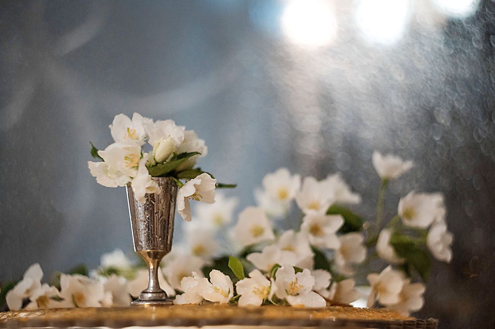 Photograph by Ольга Копылова