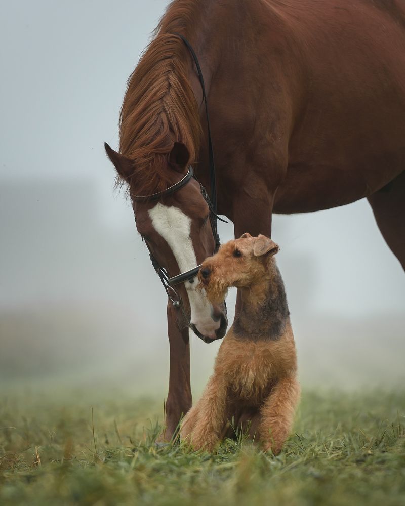 Photograph by Kovaleva Irina