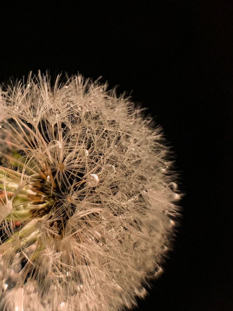 Photograph by Мария Федотова