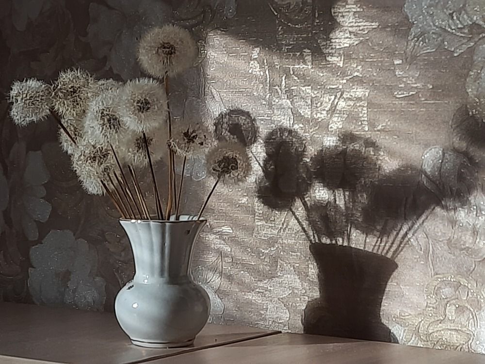 Photograph by Юлия Полянцева