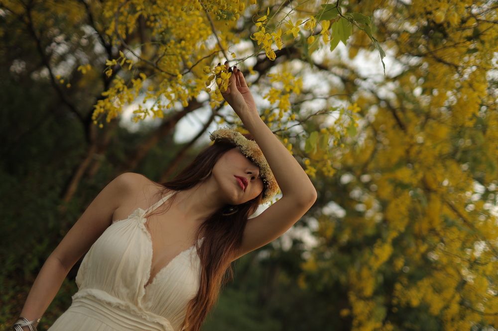 Photograph by Thanet Phanalikool