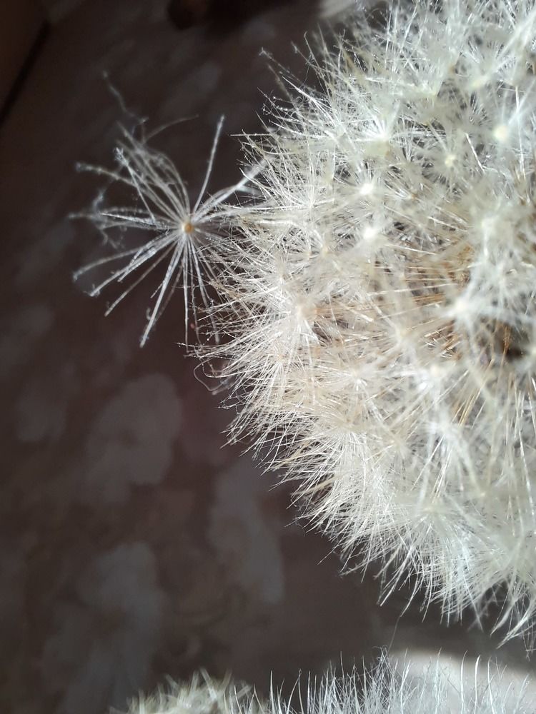 Photograph by Юлия Полянцева