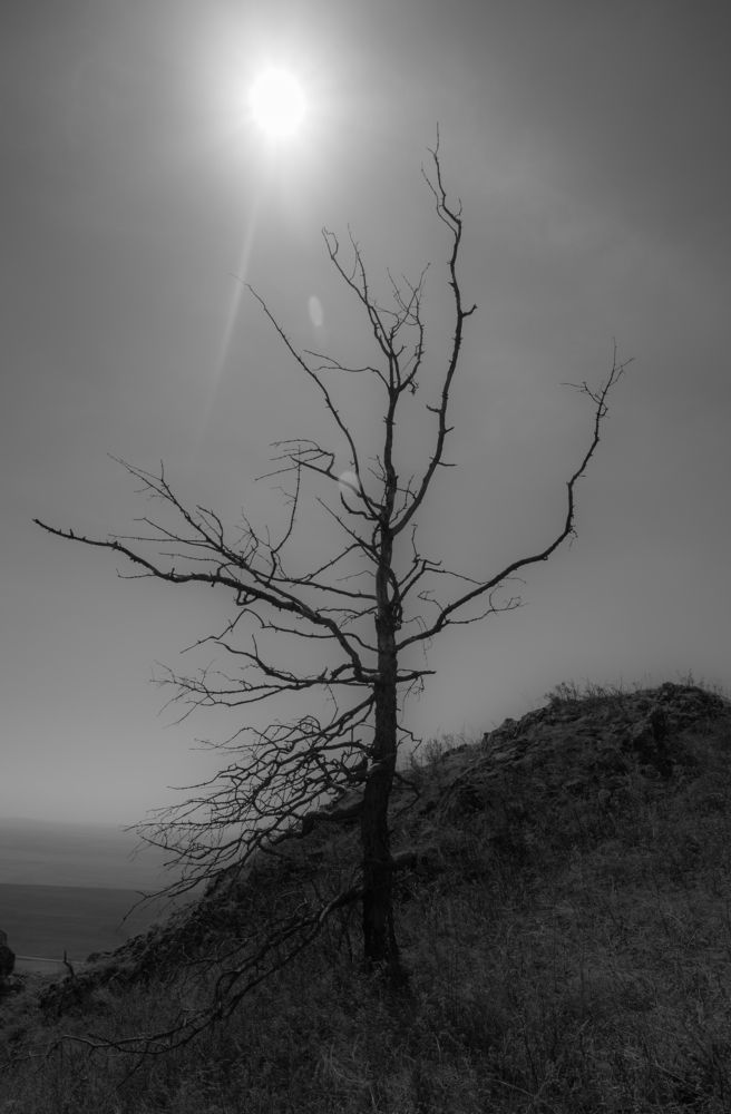 Photograph by Константин Искучеков