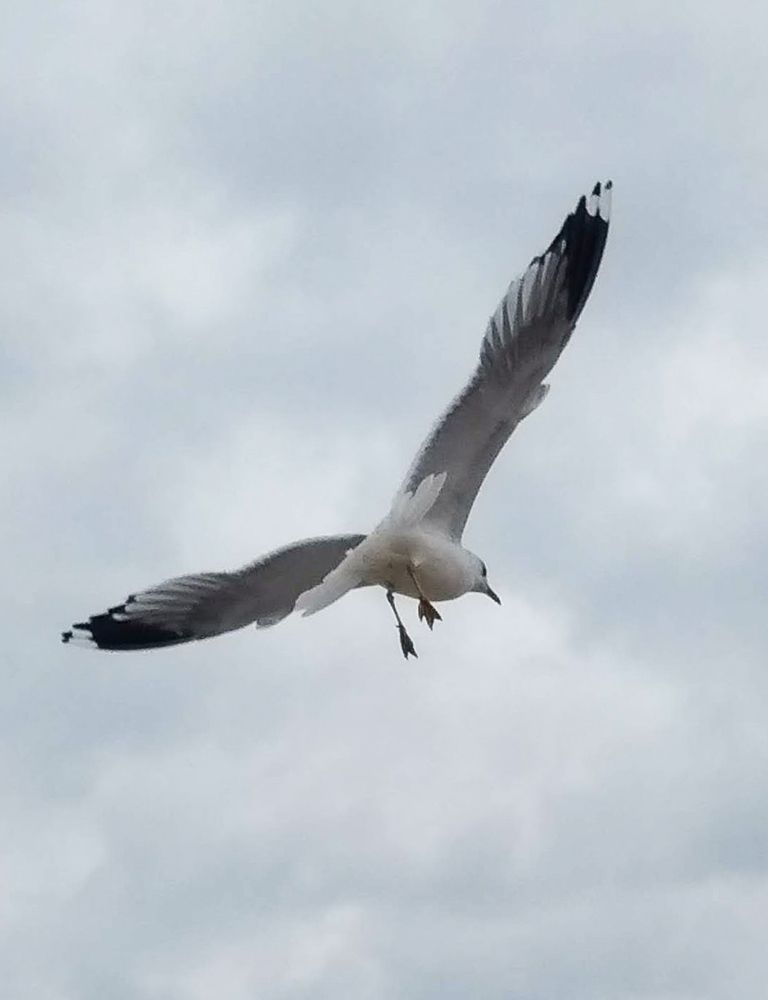 Photograph by Ирина