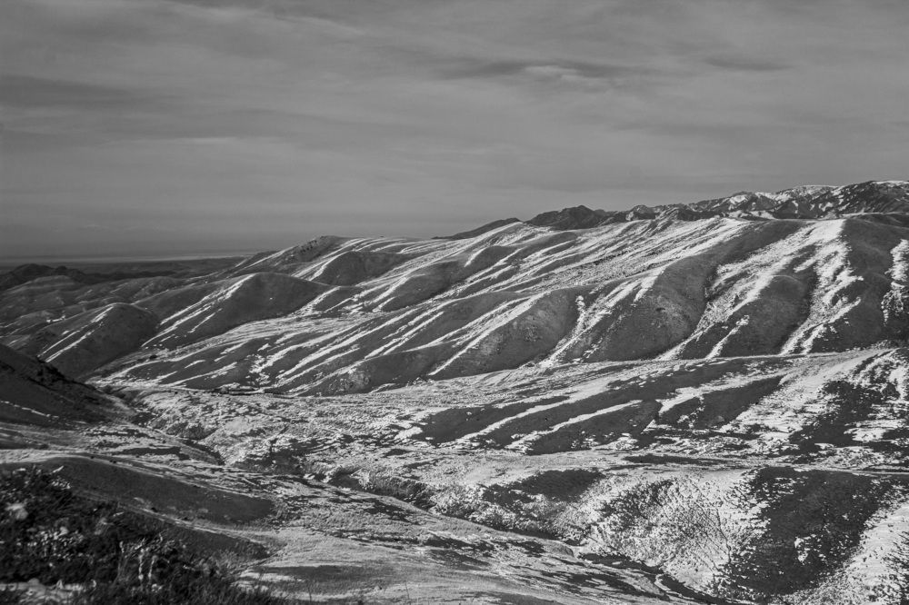 Photograph by Максим Грищенко