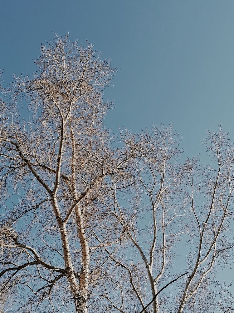 Photograph by Анастасия Хованская