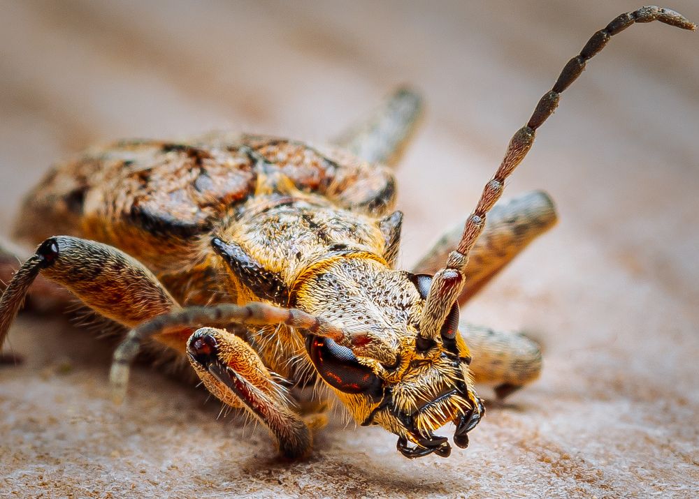 Photograph by Парфентьев Антон