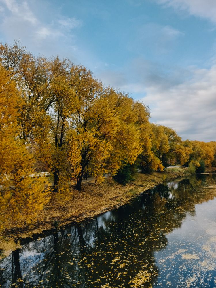 Photograph by Юлия Балдина