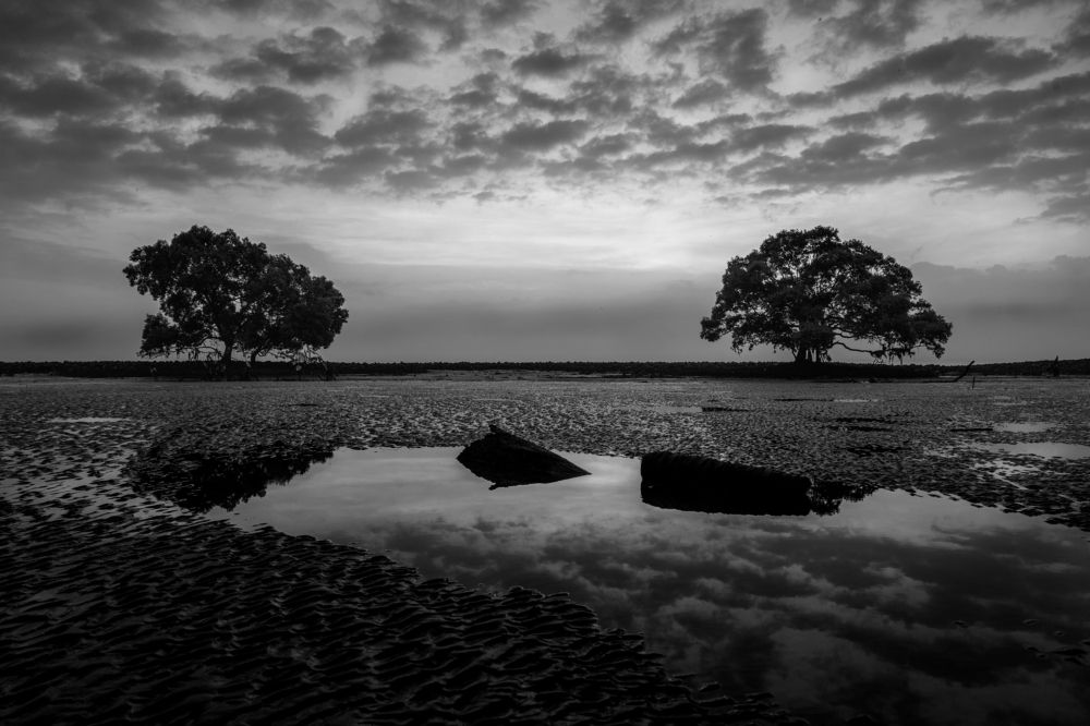 Photograph by phong nguyen